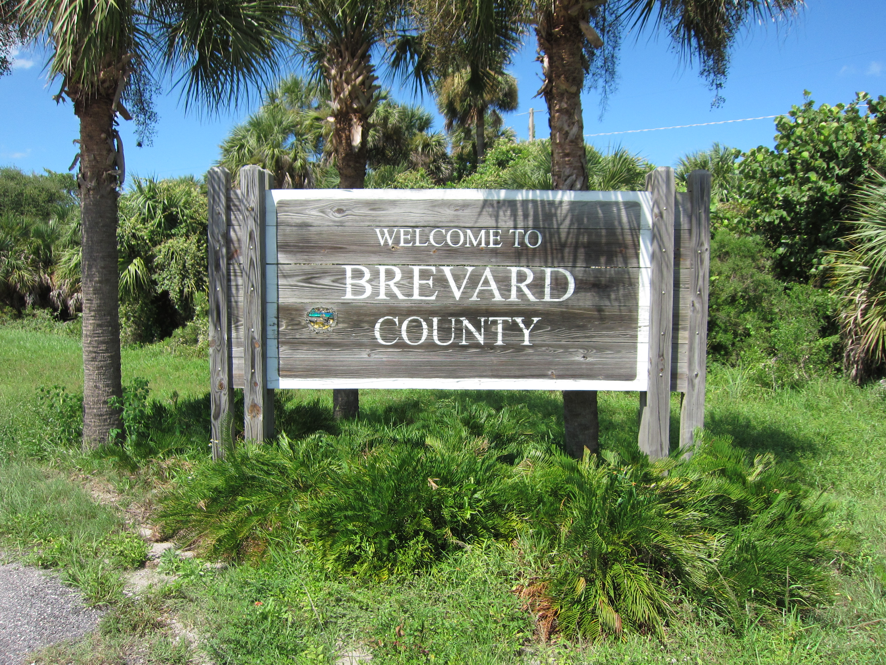 Full Litigation Support in Brevard County